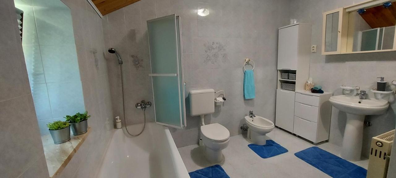 Apartma Pr' Ivani Miskorinovi Breginj Eksteriør bilde